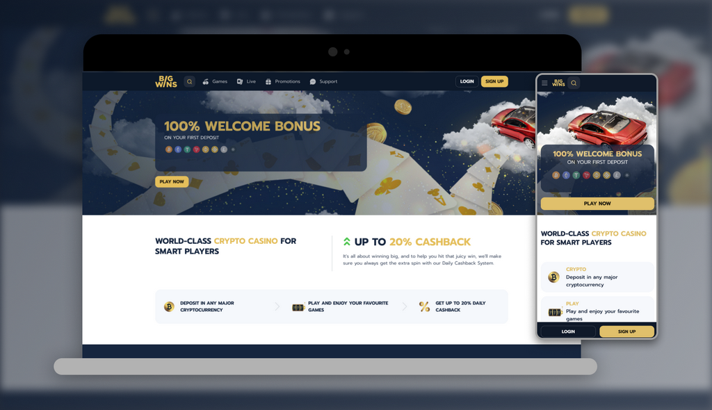 Big Wins Gambling Establishment Testimonial: Software Program